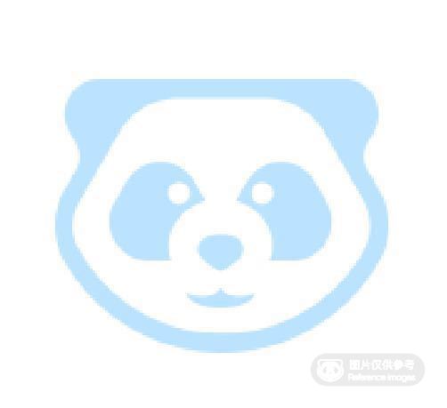 自行车/球类打气筒 双速带表款 省力高压 快速充气 标准 任选