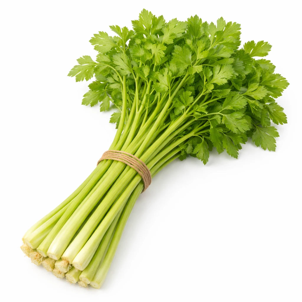 新鲜唐人芹菜特写，茎杆细长翠绿，展现澳洲农场直供的细嫩无渣质感。