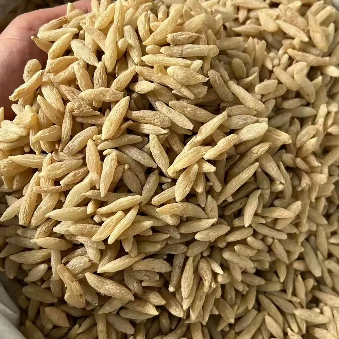 麦冬商品展示图，呈现干燥根茎的自然纹理与均匀个头，背景简洁。