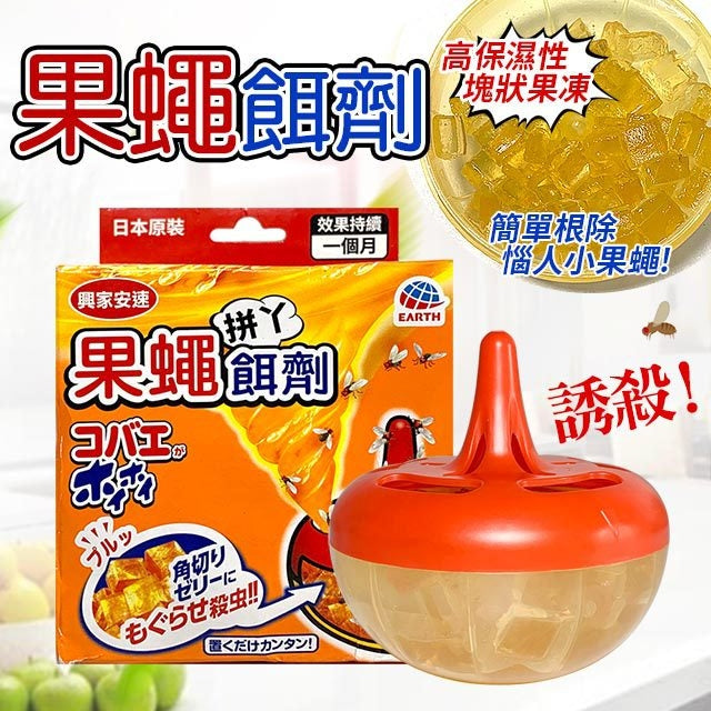 安速杀蝇饵剂放置于厨房台面的场景示意图，展示小巧体积与实际使用状态