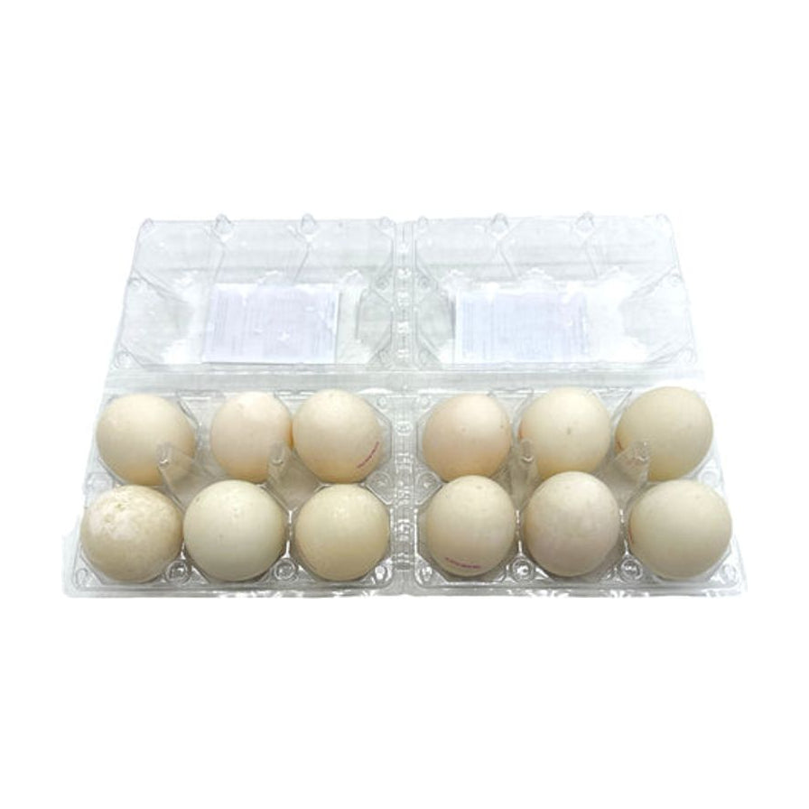 透明塑料盒装的12粒初生鸭蛋，整齐排列，蛋壳呈现自然的青白色。