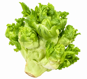 新鲜儿菜约1kg主图