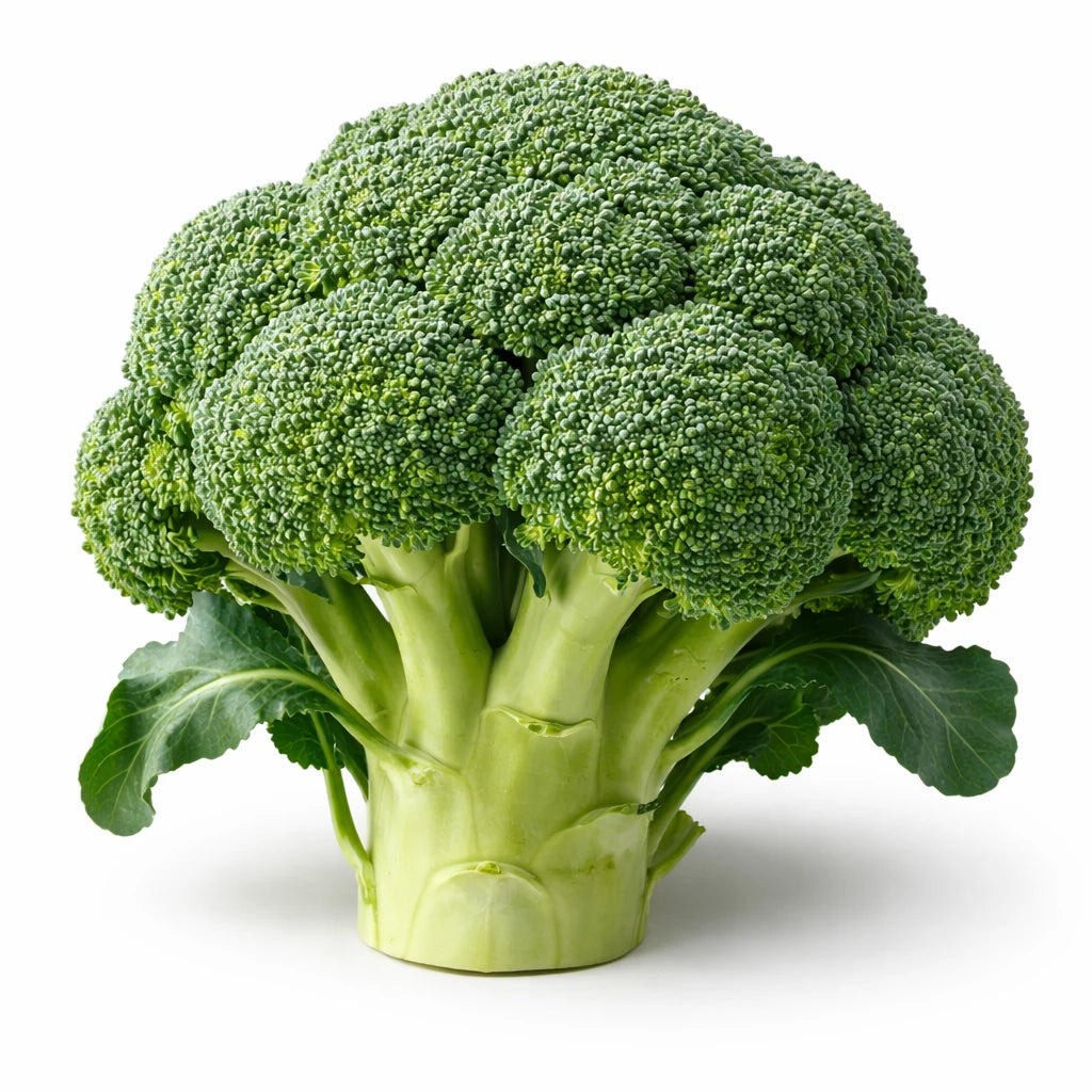 一颗翠绿紧致的澳洲新鲜西兰花，花球饱满，适合一人食或两人分享的健康蔬菜。