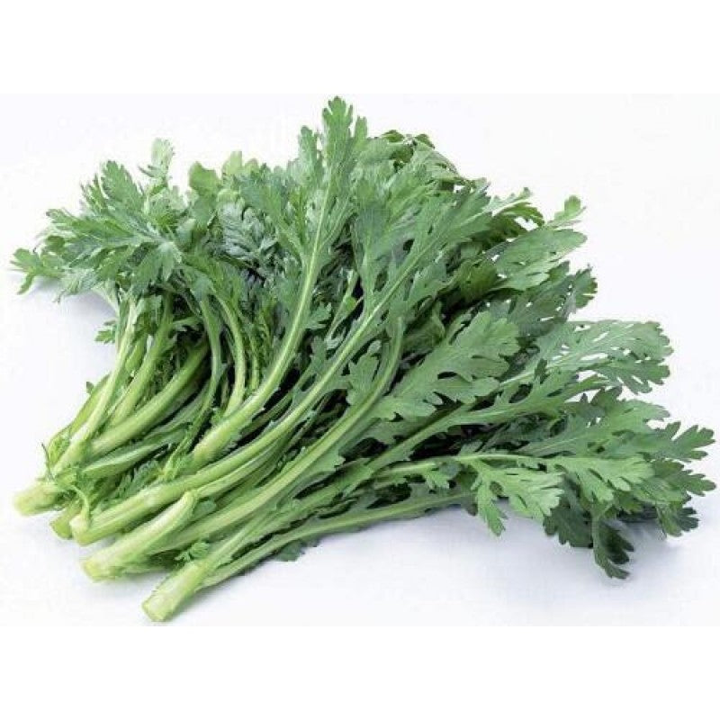 一把新鲜翠绿的茼蒿，叶片嫩绿茎秆清脆，适合火锅烫煮或家常清炒。