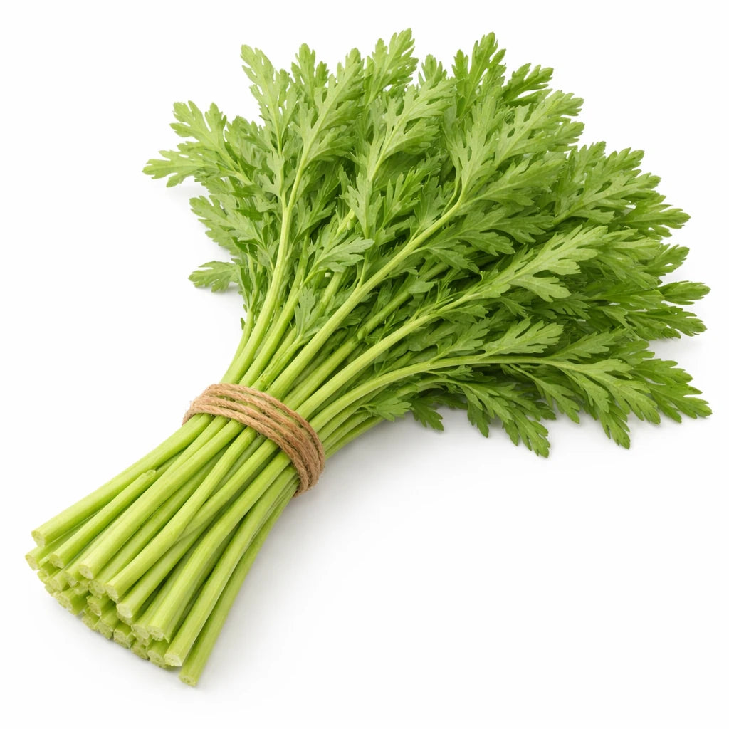 一把翠绿新鲜的茼蒿，叶片柔嫩，适合火锅或清炒。