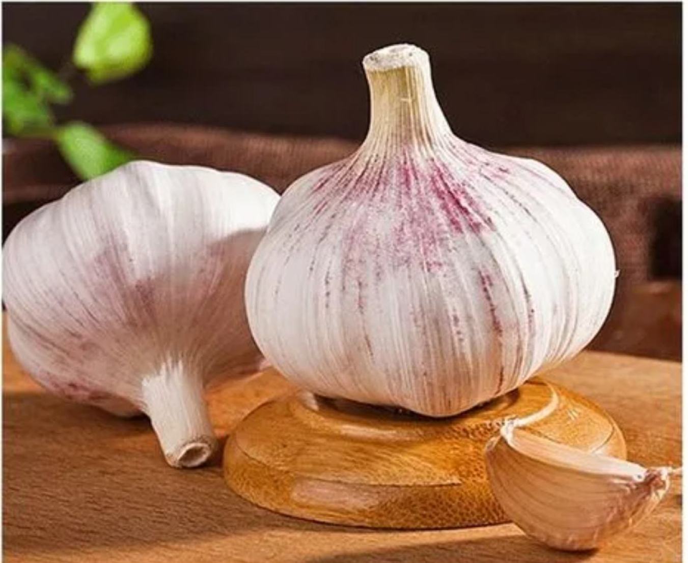 新鲜饱满的蒜头特写，外皮干燥洁白，颗粒紧实，适合日常烹饪去腥提鲜。