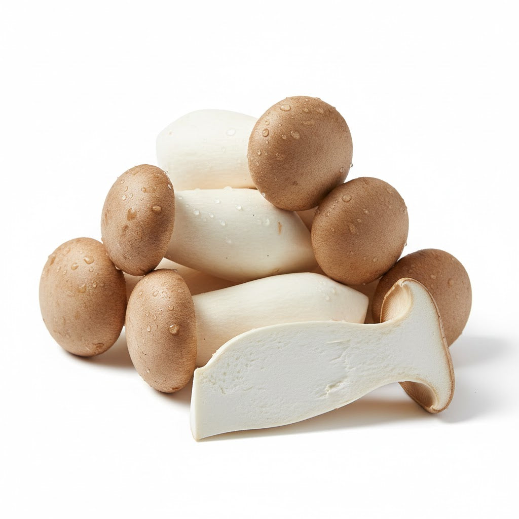 新鲜鸡腿菇特写，菌柄肥硕洁白，质感滑嫩，适合火锅或热炒。