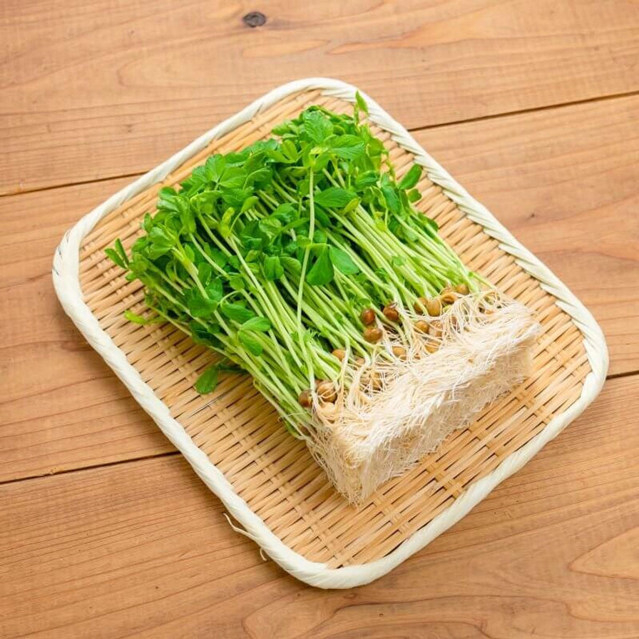 放置在木纹桌面竹编托盘上的新鲜豆苗，展示其整齐的根部和鲜嫩的绿叶。