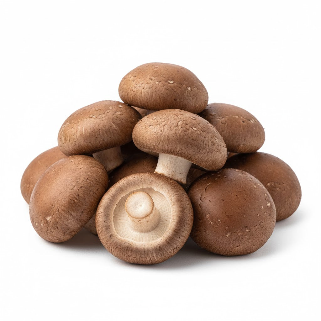 新鲜香菇特写，肉厚大伞盖，菌柄粗壮，适合火锅或家常热炒。