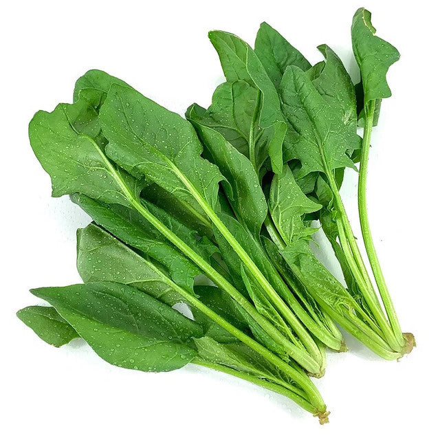 新鲜翠绿的菠菜叶片特写，适合家常快炒或火锅食用。