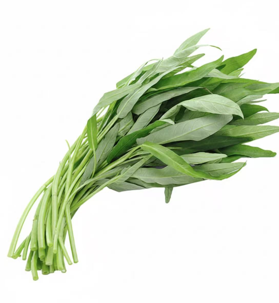 一把新鲜翠绿的通菜，梗部中空挺拔，叶片饱满，适合清炒或打边炉。