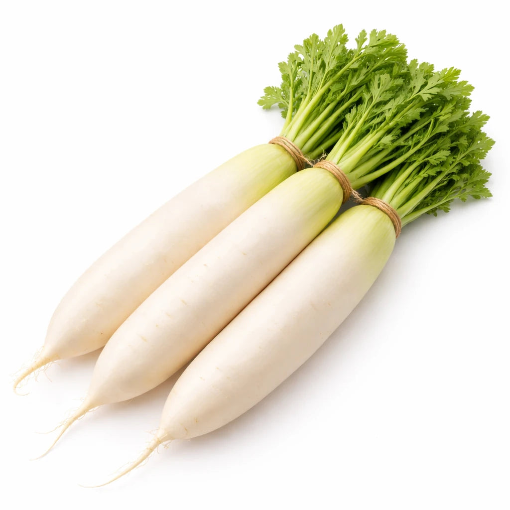 一颗表皮光滑、水灵灵的澳洲新鲜白萝卜，适合炖汤或火锅。