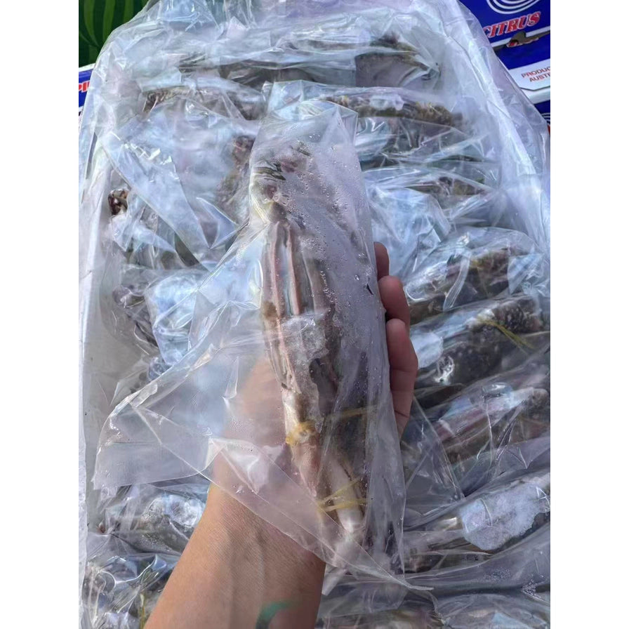 手持单只透明袋装的冷冻梭子蟹，背景为整箱包装的冷冻海鲜。