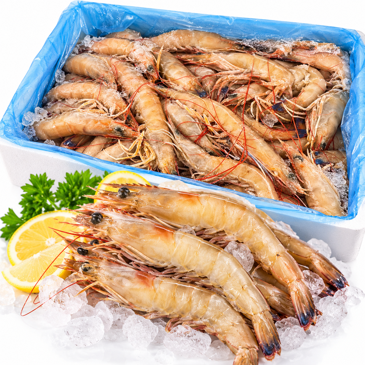 澳洲野生基围虾｜冷冻海虾｜21/30 3kg装｜31/40 5kg装