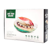 Jade Tiger 澳洲冷冻鲍鱼礼盒包装正面，白色盒身印有品牌标志及鲍鱼特写图，标注净重500g。