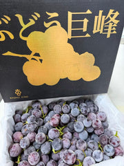 KYOHO KING 黑金巨峰礼盒，澳洲种植精品巨峰葡萄，大颗饱满，果粉完整，爆汁清甜，高端送礼水果礼盒。