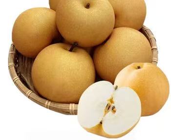 两颗山东莱阳大雪梨精品装，果皮金黄果肉洁白，适合生吃或炖煮甜汤。