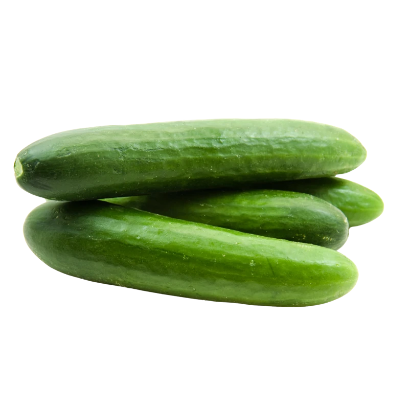 新鲜小黄瓜特写，展示皮薄肉厚且无籽的清爽切面细节。