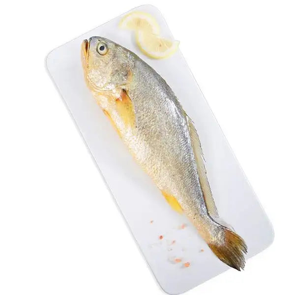 明发冻黄花鱼商品展示图，白色背景下的冷冻鱼产品包装