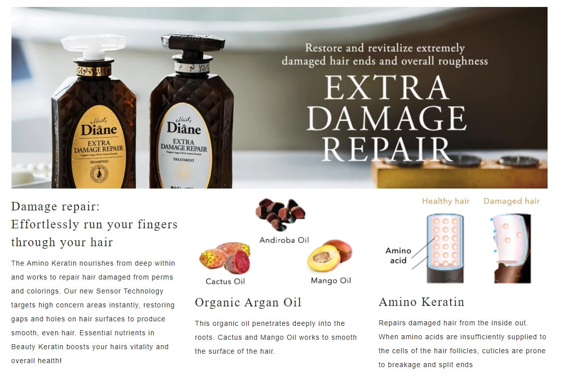 黛丝恩深层修复产品成分说明海报，展示摩洛哥坚果油、氨基酸角蛋白等成分及其对受损发质的修护原理图解。