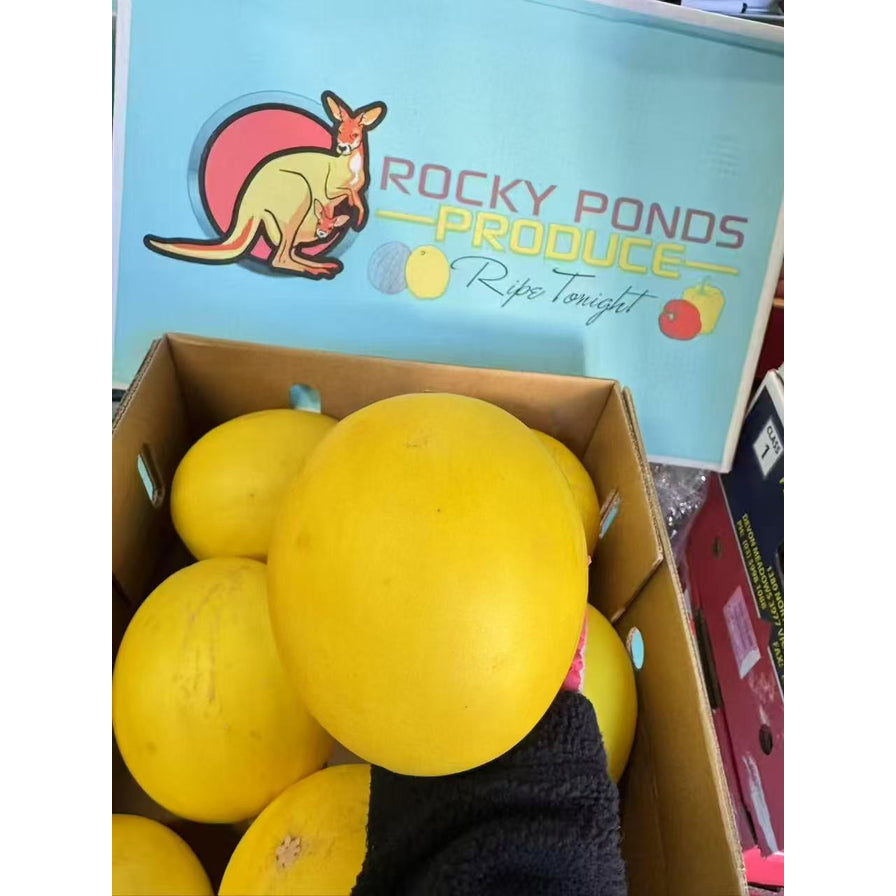 Rocky Ponds 黄金瓜实拍图，背景带有 Rocky Ponds Produce 品牌标识和袋鼠图案。