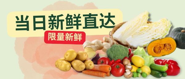 当日新鲜直达限量新鲜蔬菜促销横幅，展示土豆、西兰花、胡萝卜、番茄、辣椒、南瓜、白菜等新鲜蔬菜