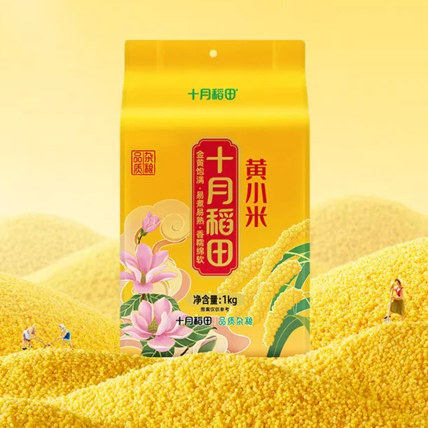 十月稻田黄小米产品细节补充图，展示颗粒饱满质感
