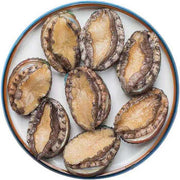 一只冰鲜带壳的中号塔斯马尼亚鲍鱼，裙边完整，肉质饱满，适合清蒸或红烧。