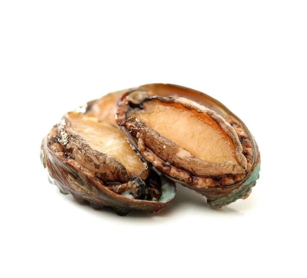 几只冰鲜带壳的小号塔斯马尼亚鲍鱼紧密排列，外壳纹理清晰，适合切片涮火锅。