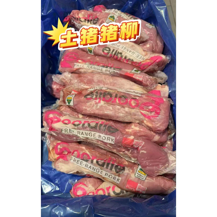 多份真空包装的 Booralie 昆士兰土猪猪柳整齐排列在蓝色周转箱中，带有“土猪猪柳”中文字样。