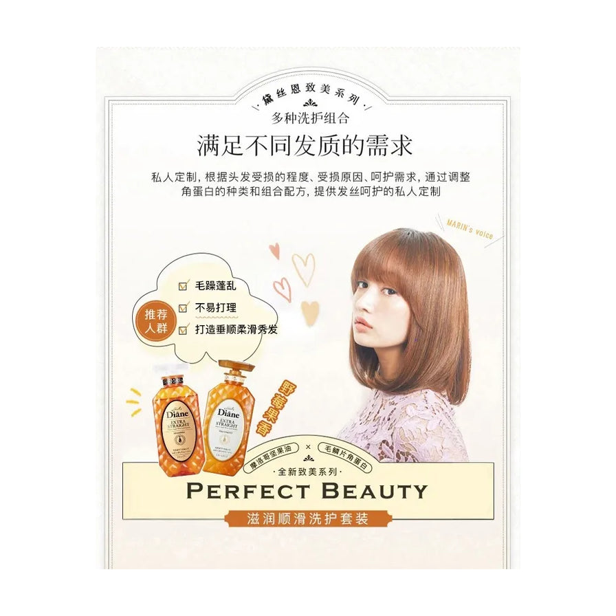 黛丝恩致美系列宣传海报，含模特发型展示、中文卖点说明及滋润顺滑洗护套装产品图。