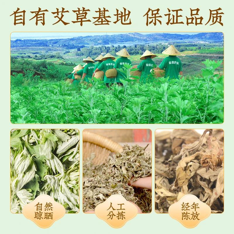 艾草种植基地与加工流程拼图，包含自有基地、自然晾晒、人工分拣和经年陈放场景。