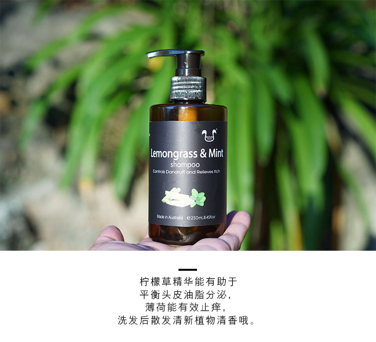 手持澳洲有机方程式香茅薄荷洗发水瓶身特写，背景为绿色植物并附带中文说明文字