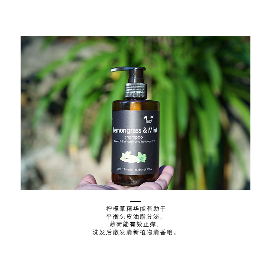 手持澳洲有机方程式洗发水的生活场景图，背景为绿色植物，下方配有中文成分功效说明文字。