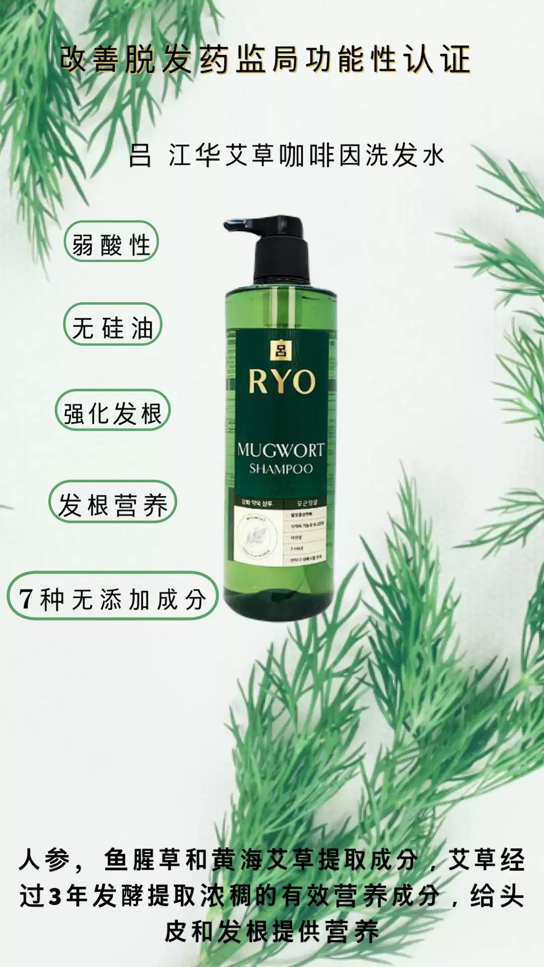 吕 RYO 洗发水中文宣传海报，包含弱酸性、无硅油、强化发根等卖点标签及草本成分说明。