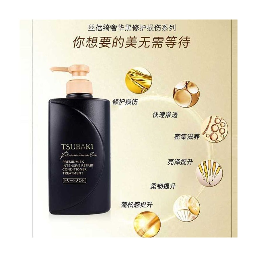 丝蓓绮护发素产品功效宣传图，含中文卖点说明及成分示意图，展示修护损伤与滋养效果。