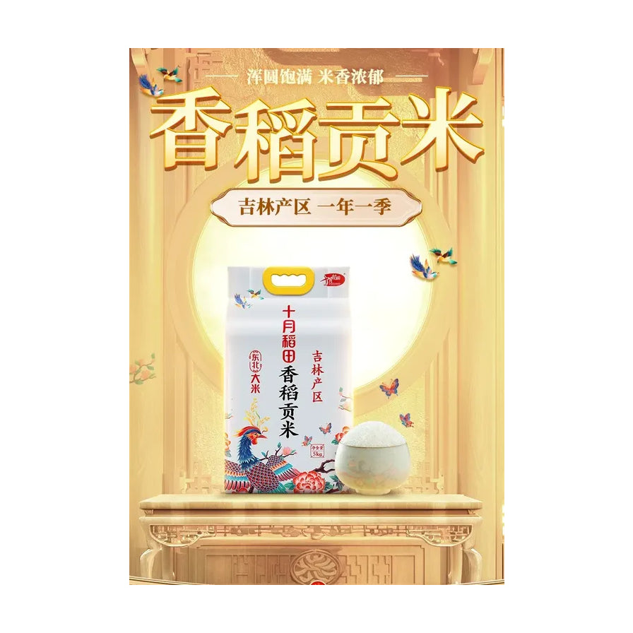 香稻贡米产品宣传海报，金色背景展示大米包装与一碗白米饭，顶部有浑圆饱满米香浓郁等中文卖点文字。