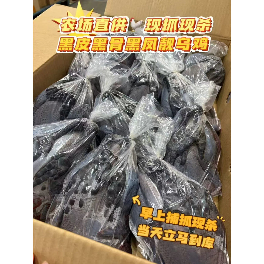 纸箱内整齐摆放的袋装新鲜乌鸡，上方带有“农场直供 现抓现杀”和“黑皮黑骨黑凤靓乌鸡”的中文卖点文字。